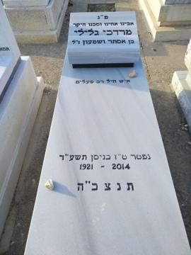 תמונת מצבה