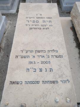 תמונת מצבה