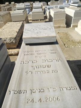 תמונת מצבה