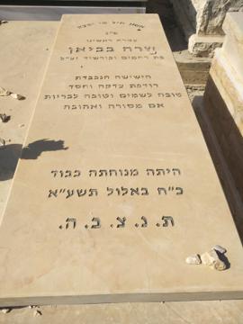 תמונת מצבה