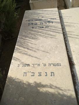 תמונת מצבה