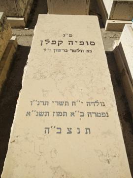 תמונת מצבה