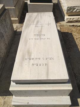תמונת מצבה