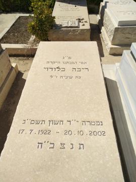 תמונת מצבה