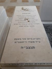 תמונת מצבה