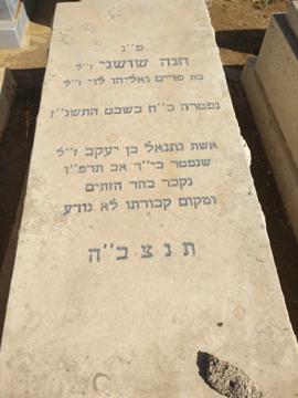 תמונת מצבה