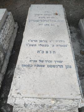 תמונת מצבה
