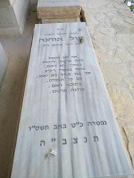 תמונת מצבה