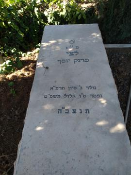 תמונת מצבה