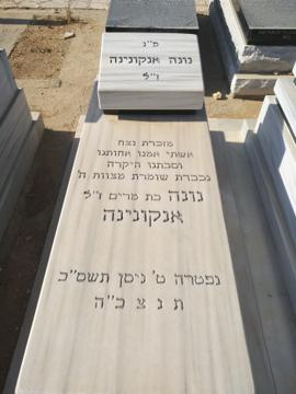 תמונת מצבה