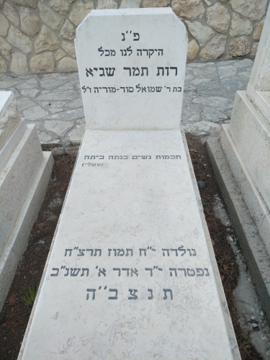 תמונת מצבה
