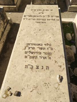 תמונת מצבה