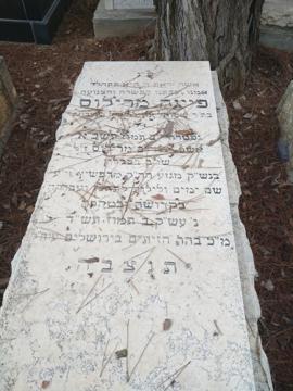 תמונת מצבה