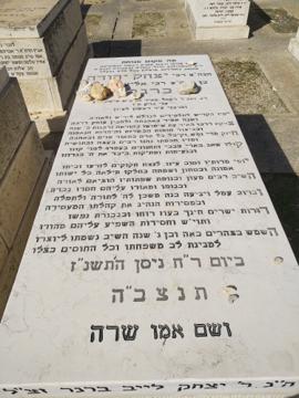 תמונת מצבה