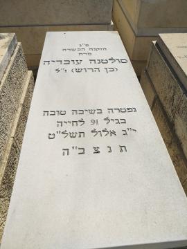 תמונת מצבה