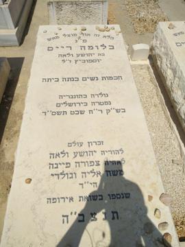 תמונת מצבה