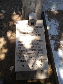 תמונת מצבה