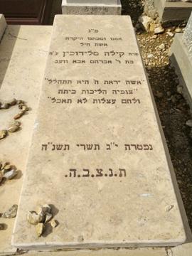 תמונת מצבה