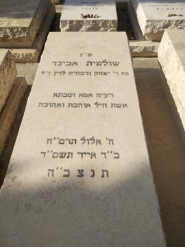 תמונת מצבה