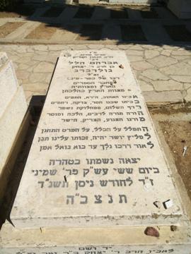 תמונת מצבה