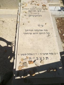 תמונת מצבה