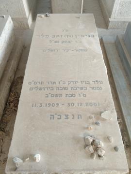 תמונת מצבה