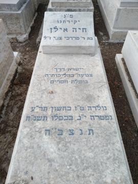 תמונת מצבה