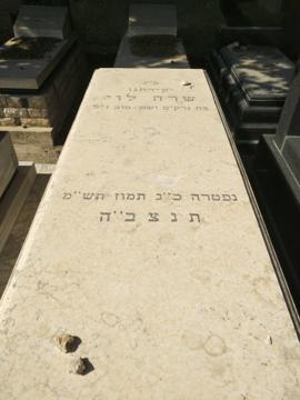 תמונת מצבה