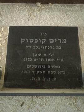 תמונת מצבה