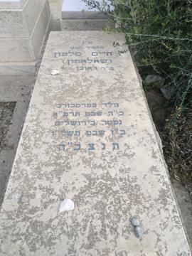 תמונת מצבה