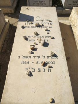 תמונת מצבה