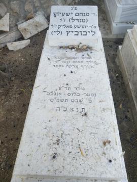 תמונת מצבה