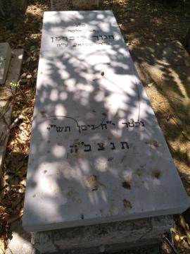 תמונת מצבה