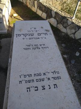 תמונת מצבה