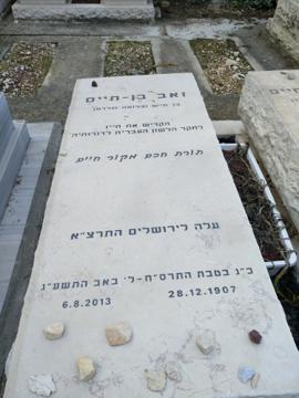 תמונת מצבה