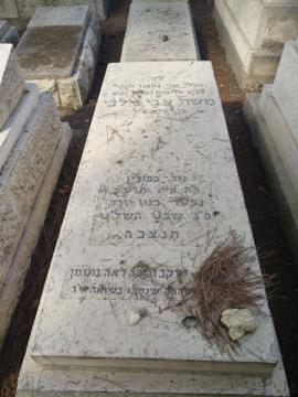 תמונת מצבה