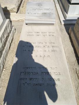 תמונת מצבה
