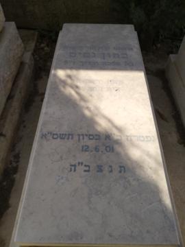 תמונת מצבה
