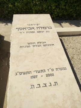 תמונת מצבה