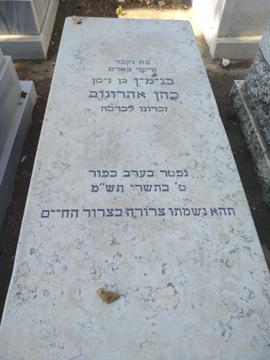 תמונת מצבה