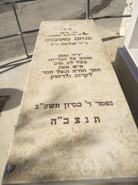 תמונת מצבה