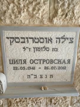 תמונת מצבה