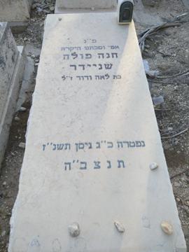 תמונת מצבה
