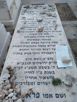 תמונת מצבה