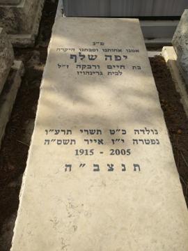 תמונת מצבה