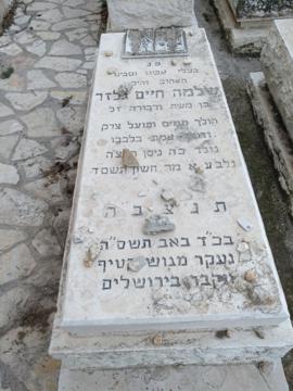 תמונת מצבה