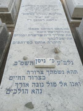 תמונת מצבה
