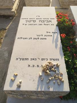 תמונת מצבה