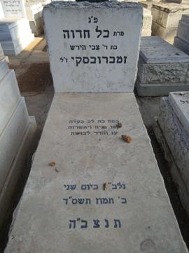 תמונת מצבה