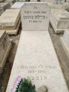 תמונת מצבה